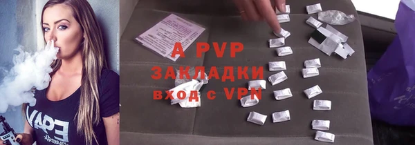 индика Алексин