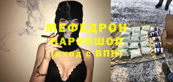 индика Алексин