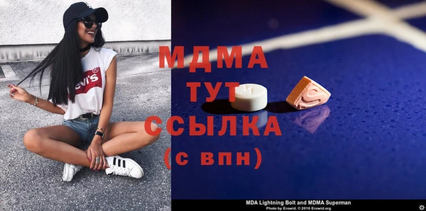 индика Алексин