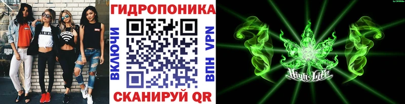 Марихуана сатива  hydra   Бобров 